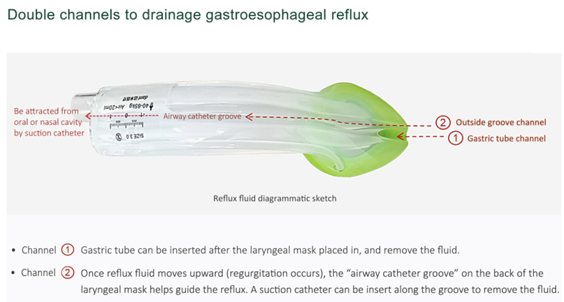 Dami Laryngeal Mask Airway - Image 4