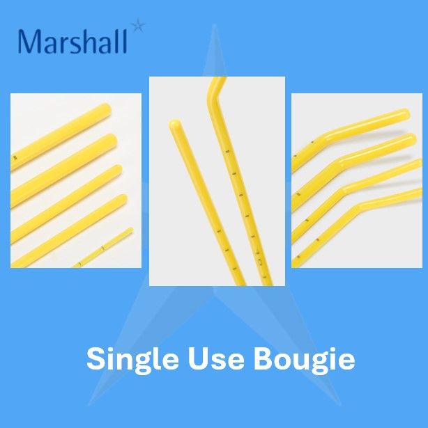 Marshall Bougie - Image 3
