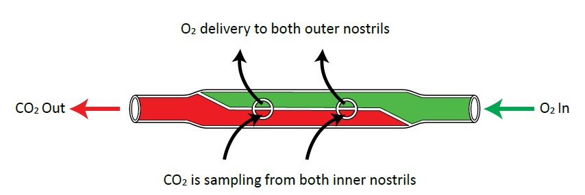 Dispo-Med Duo Flow O₂ + CO₂ Sampling Cannula - Image 2
